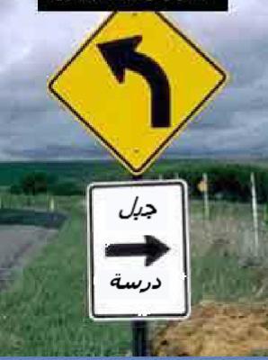 viva 7owma